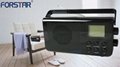 AM FM RADIO 便携式收音机 深圳产家 FORSTAR FSD1870 5