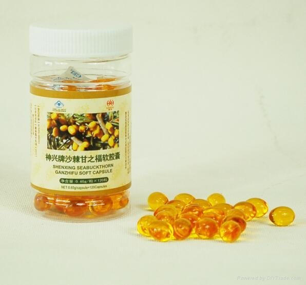 seabuckthorn seed oil softcapsule 2