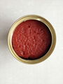 Canned Tomato Paste 3