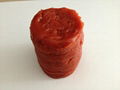 Canned Tomato Paste 4