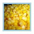 Canned Sweet Corn 2