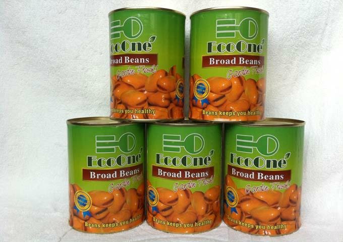 Canned Broad Beans  3
