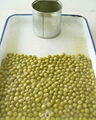 Canned Green peas 3