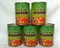 Canned White Kidney Beans 3