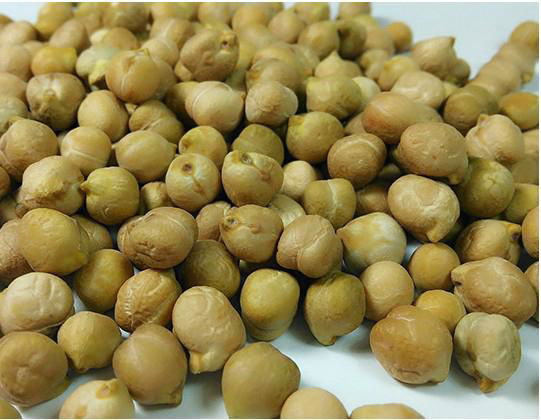 Canned Chick peas 2