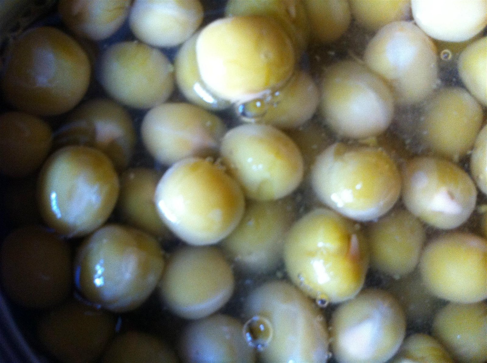 Canned Chick peas 4