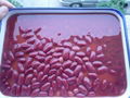 Canned Red Kidney Beans 3