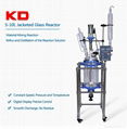 Laboratory Jacketed Glass Reactor