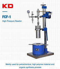 High Pressure Reaction Vessel