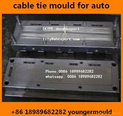 Nylon cable tie injection mould mold molds for auto car automobile parts