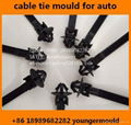 Nylon cable zip tie mould use for auto car  automobile parts component  1