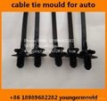 Nylon cable zip tie mould use for auto car  automobile parts component  4