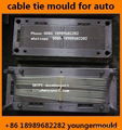 Nylon cable zip tie mould use for auto car  automobile parts component  5
