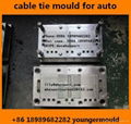 Nylon cable zip tie mould use for auto car  automobile parts component  6