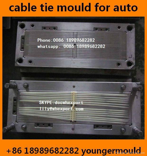 nylon cable tie injection mould for auto car automitve