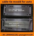 nylon cable tie injection mould for auto car automitve