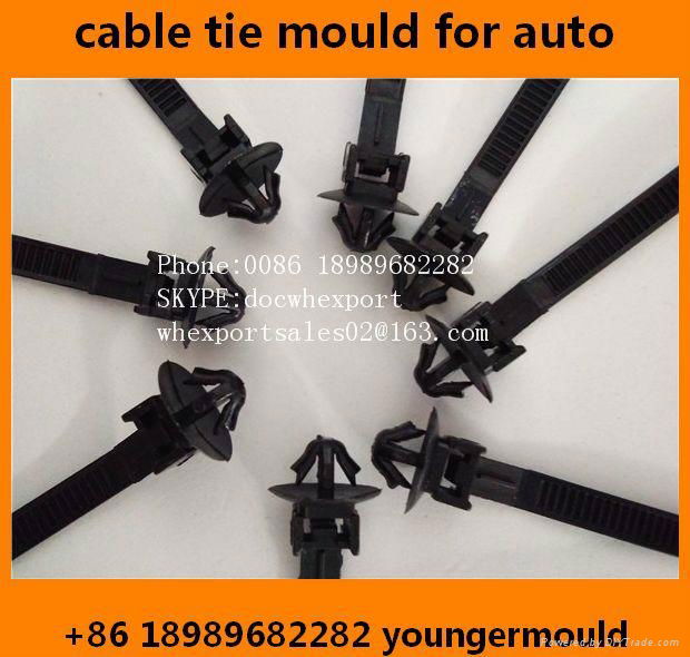 automotive cacr auto plastic nylon cable ties moulds 2