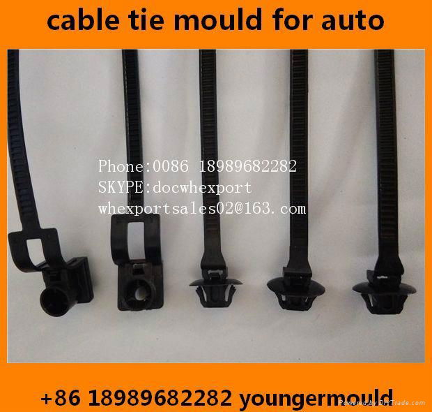 automotive cacr auto plastic nylon cable ties moulds 3