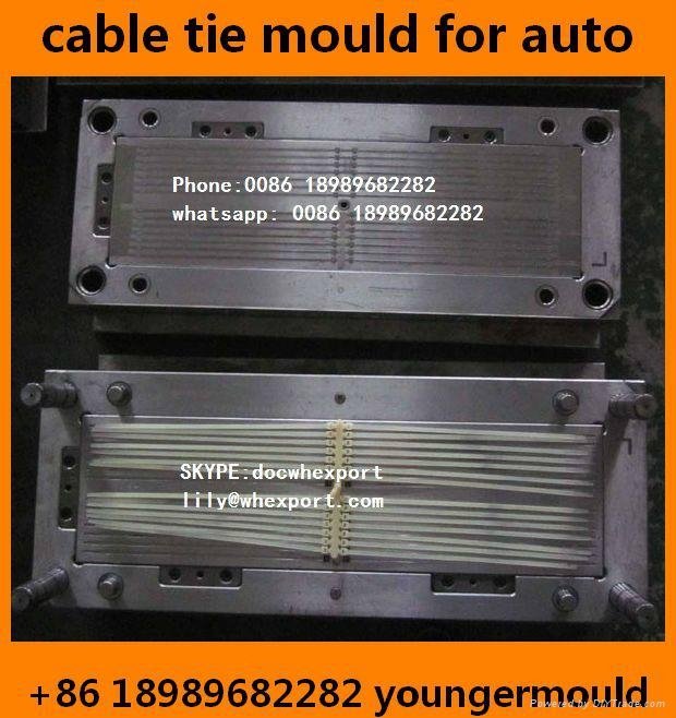 automotive cacr auto plastic nylon cable ties moulds