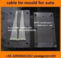 automotive auto car zip nylon cable injection moulds molds 2
