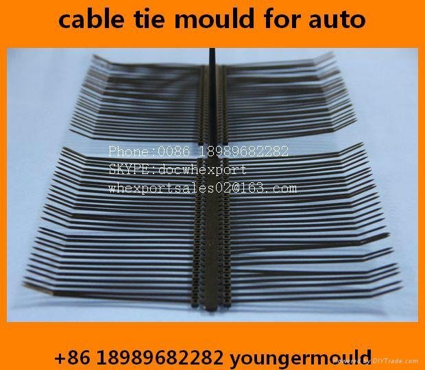 nylon screw head cable tie injection mould molds for auto car automobile parts 2