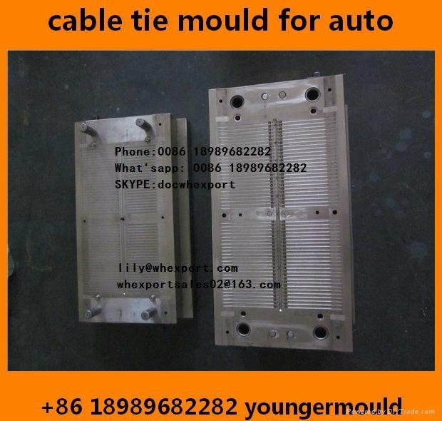 nylon cable zip tie injection mould for auto car automobile  parts component  2