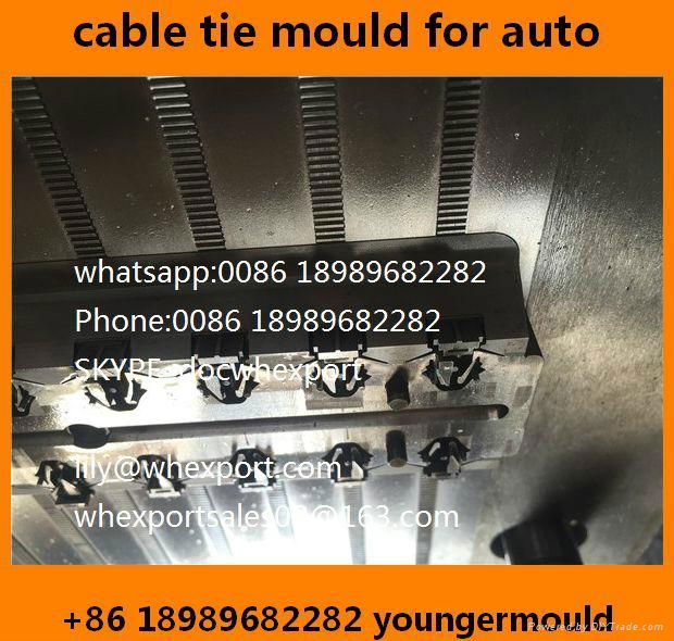 nylon cable zip tie injection mould for auto car automobile  parts component  3