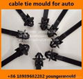 nylon cable tie mould for auto car use