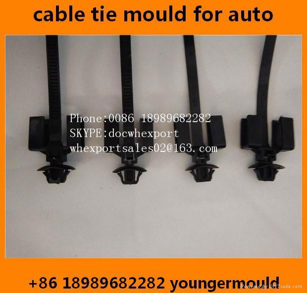 nylon cable tie mould for auto car use  2