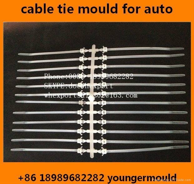 nylon cable tie mould for auto car use  3