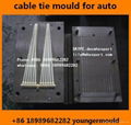 plastic nylon cable tie injection molds 2
