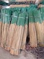Tonkin Moso Bamboo Poles