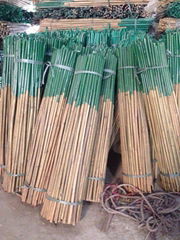 Tonkin Moso Bamboo Poles