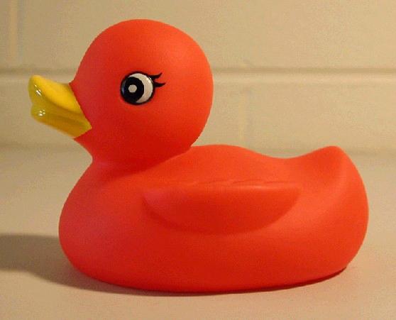 Soft Stress Plastic PU inflatable water ducks Kids Toy China Factory 