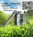 浙江绿茶生产线包装机