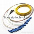 Fiber Optic Ribbon Pigtail