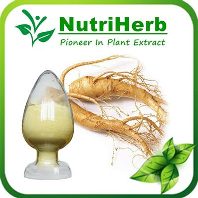 Natural Panax Ginseng Extract Ginsenosides