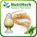 Natural Panax Ginseng Extract