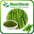 Natural Barley Grass Powder