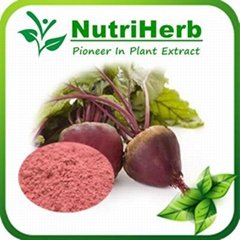 Natural Red Beet Root Powder