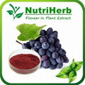 Natural Pigment Grape Skin Pigment