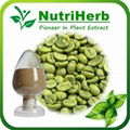 Natural Green Coffee Bean Extract