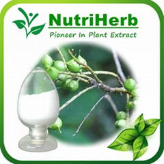 Natural Extract 98% Hiliedum