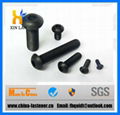 Button Socket Cap Screws 1