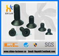 Flat Socket Cap Screws 1