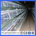 Africa 3/4 layer can feed 96/128 birds chicken layer cage(Guangzhou Factory) 2