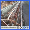 Africa 3/4 layer can feed 96/128 birds chicken layer cage(Guangzhou Factory) 3