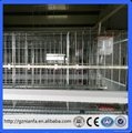 Africa 3/4 layer can feed 96/128 birds chicken layer cage(Guangzhou Factory) 4