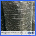 Guangzhou Factory Hexagonal Chicken Wire