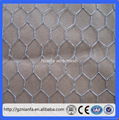 Guangzhou Factory Hexagonal Chicken Wire mesh 4